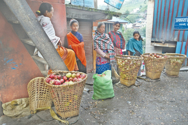 mugu-apple-farmers-worry-as-road-remains-damaged